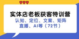 实体店老板获客特训营：认知、定位、文案、矩阵、直播、AI等（72节）