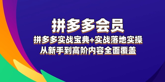 拼多多 会员，拼多多实战宝典+实战落地实操，从新手到高阶内容全面覆盖-琪琪网创