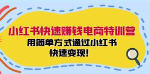 小红书快速赚钱电商特训营：用简单方式通过小红书快速变现！-优创圈