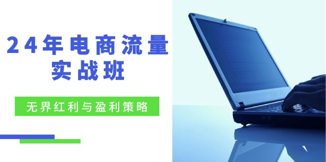 24年电商流量实战班：无界 红利与盈利策略，终极提升/关键词优化/精准…-创富新天地