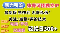 暴力引流法 全平台模式已打通  轻松日上300+