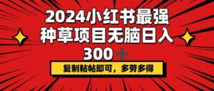 2024小红书最强种草项目，无脑日入300+，复制粘帖即可，多劳多得-优创圈