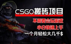 CSGO 装备搬砖项目，操作简单，不需要会玩游戏，小白也能快速上手，一…-优创圈