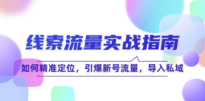 线 索 流 量-实战指南：如何精准定位，引爆新号流量，导入私域