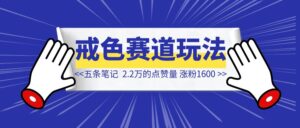 新号5条作品涨粉1600+，戒色赛道冷门玩法【保姆级教学】-优创圈