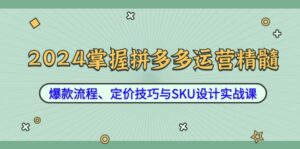 2024掌握拼多多运营精髓：爆款流程、定价技巧与SKU设计实战课-优创圈