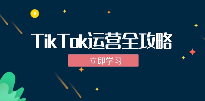 TikTok实战运营全攻略：从下载软件到变现，抖音海外版实操教程-清创圈