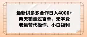 拼多多最新合作日入4000+两天销量过百单，无学费、老运营代操作、小白福利-优创圈