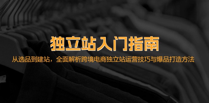 独立站入门指南：从选品到建站，全面解析跨境电商独立站运营技巧与爆品…-琪琪网创