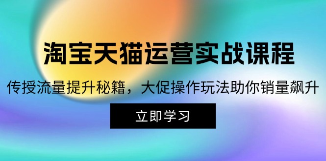 淘宝&天猫运营实战课程，传授流量提升秘籍，大促操作玩法助你销量飙升-琪琪网创