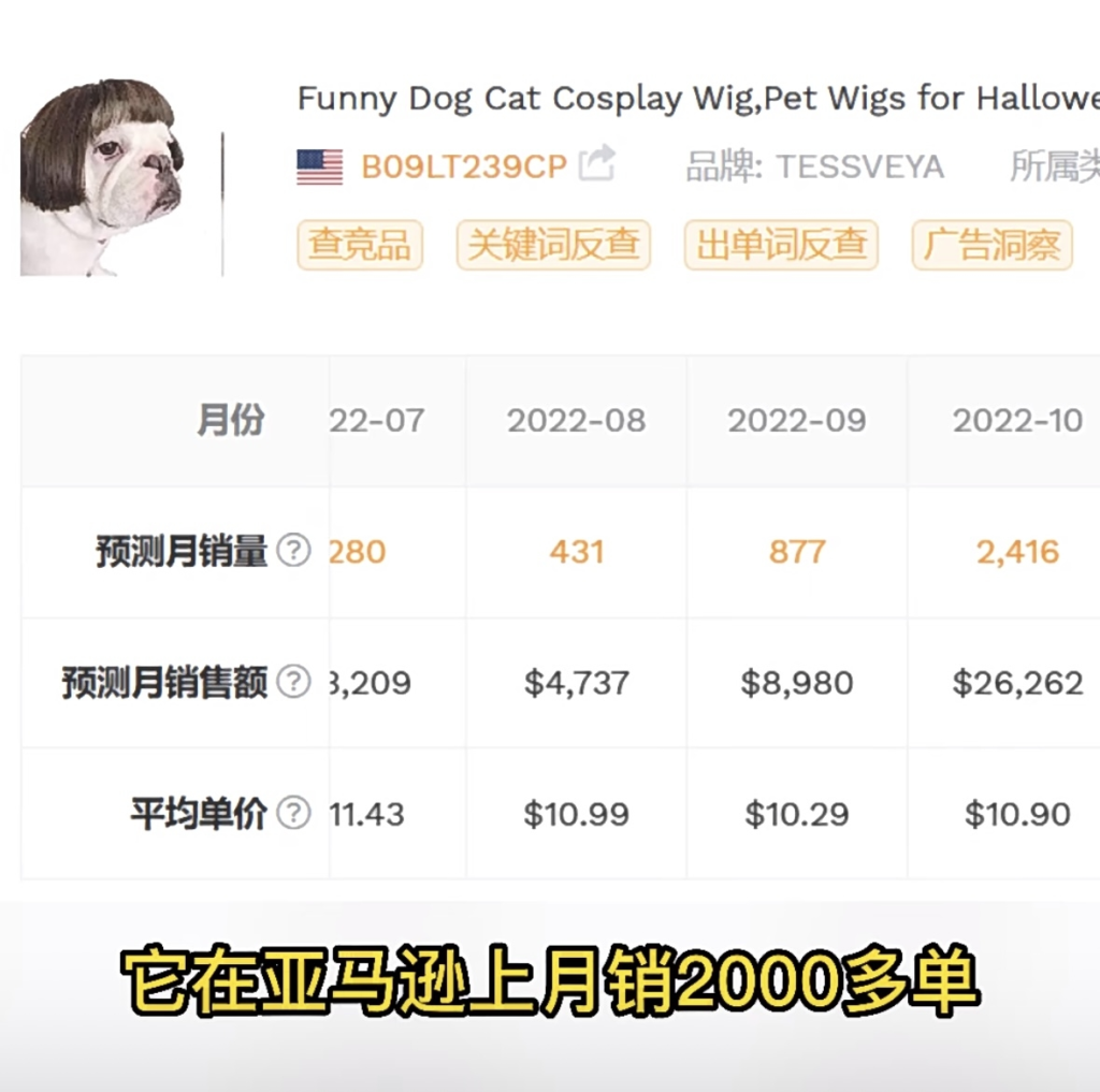宠物假发是我最近发现的比较有意思的一个领域。。。-搞钱线报📢论坛-网创交流-优创圈