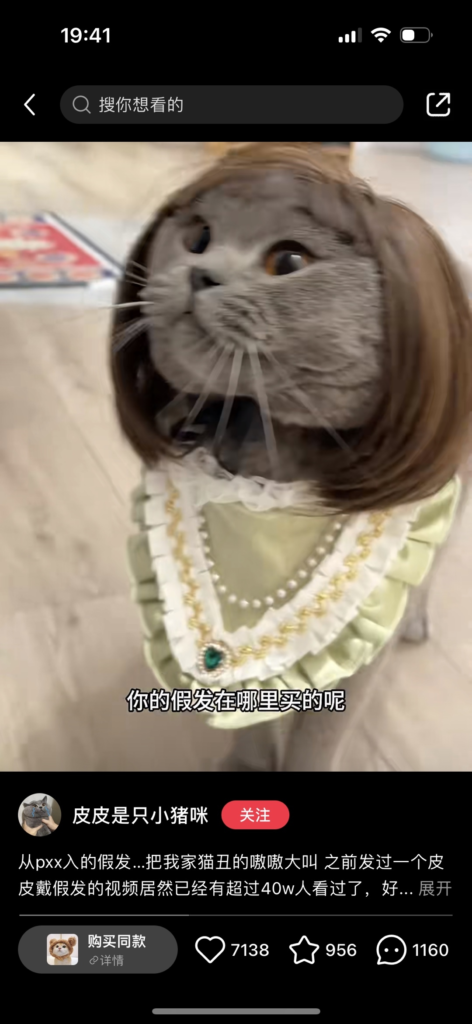 20241016113401197-image