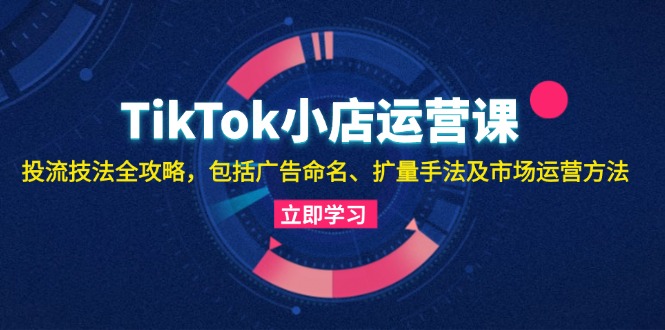 TikTok小店运营课：投流技法全攻略，包括广告命名 扩量手法及市场运营方法-琪琪网创