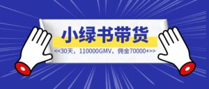 小绿书带货30天，110000GMV，佣金70000+，从0到1全流程分享-优创圈
