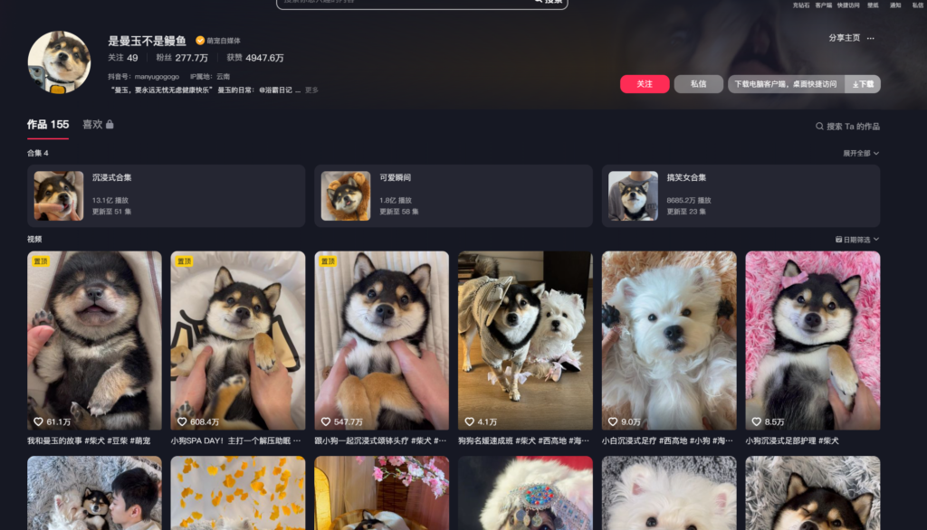 中文区油管Shorts萌宠博主-搞钱线报📢论坛-网创交流-优创圈