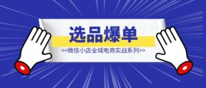 微信小店全域电商实战系列之——选品爆单（附小绿书最新玩法）-优创圈