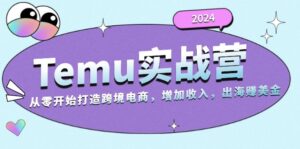 2024Temu实战营:从零开始打造跨境电商,增加收入,出海赚美金-优创圈