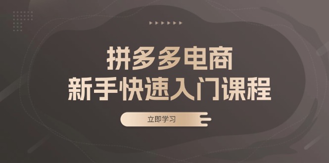 拼多多电商新手快速入门课程：涵盖基础、实战与选款，助力小白轻松上手-侠客笔记