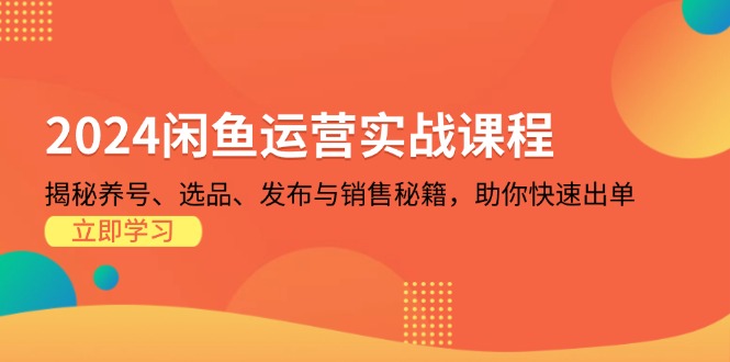 2024闲鱼运营实战课程：揭秘养号、选品、发布与销售秘籍，助你快速出单-创富新天地