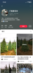 圣诞热点，卖圣诞树布列松-优创圈