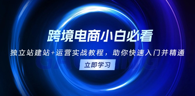 跨境电商小白必看！独立站建站+运营实战教程，助你快速入门并精通-创富新天地