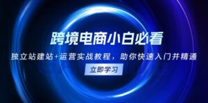 跨境电商小白必看!独立站建站+运营实战教程,助你快速入门并精通-优创圈