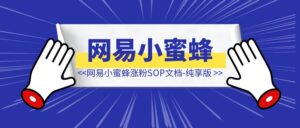 网易小蜜蜂-暴力半天涨粉1k教程-优创圈