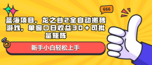 蓝海项目，龙之谷2全自动搬砖游戏，单窗口日收益30＋可批量矩阵-优创圈