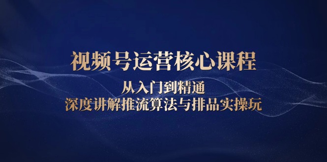 视频号运营核心课程，从入门到精通，深度讲解推流算法与排品实操玩-创富新天地