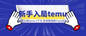 新手入局temu 3个月 登顶家具畅销榜Top1经验分享-优创圈