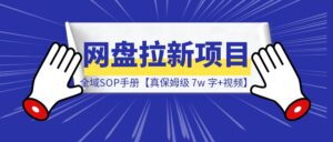 网盘拉新项目全域SOP教程手册【真·保姆级·7w 字+视频】-优创圈