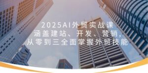 2025AI外贸实战课：涵盖建站、开发、营销, 从零到三全面掌握外贸技能-优创圈