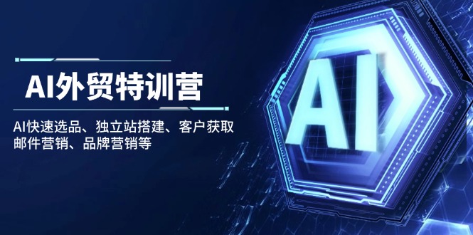 AI外贸特训营：AI快速选品、独立站搭建、客户获取、邮件营销、品牌营销等-云创优业