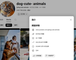 近期数据火爆的AI动物救援的对标账号。。。-优创圈