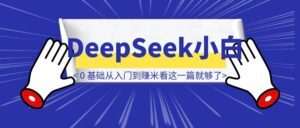 DeepSeek 小白 0 基础从入门到赚米看这一篇就够了！（附保姆级部署教程-优创圈