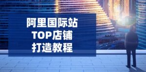 阿里国际站TOP店铺打造教程：涵盖平台到高阶，解决运营难题，提升询盘-优创圈