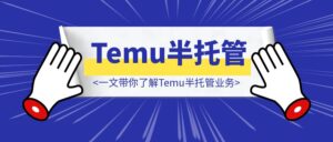 一文带你了解Temu半托管业务-优创圈