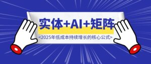 实体老板必看：弱IP+SEO+AI+矩阵+私域，2025年低成本持续增长的核心公式（附实操指南）-优创圈