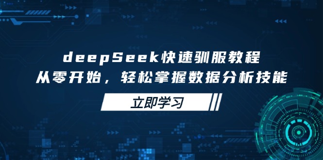deepSeek快速驯服教程，从零开始，轻松掌握数据分析技能-胜创圈