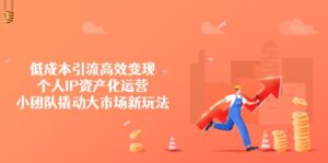 低成本引流高效变现，个人IP资产化运营，小团队撬动大市场新玩法-优创圈
