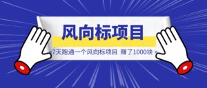 7天跑通一个风向标项目，赚了1000块-优创圈