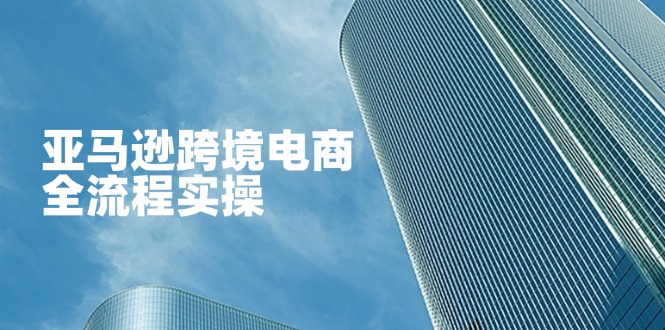 亚马逊跨境电商全流程实操，教你从零开始，掌握店铺运营与广告技巧-优创圈