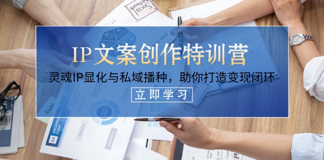 IP文案创作特训营，灵魂IP显化与私域播种，助你打造变现闭环（14节课）-伙伴笔记
