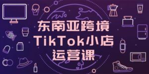 东南亚跨境TikTok小店运营课，掌握店铺设置与流量转化核心技巧-优创圈