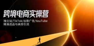 跨境电商实操营:独立站/TikTok/谷歌广告/YouTube,精准选品与高效引流-优创圈