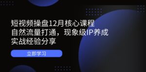短视频操盘12月核心课程：自然流量打通，现象级IP养成，实战经验分享-优创圈