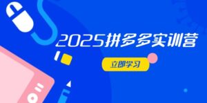2025拼多多实训营:深度剖析运营关键,助力电商人快速提升-优创圈