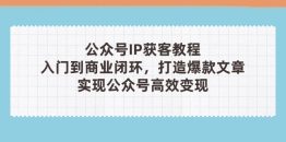 公众号IP获客教程(第3期)，从入门到商业闭环，打造爆款文章，实现公众…