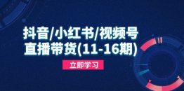 抖音/小红书/视频号/直播带货(11-16期)，快速掌握平台规则，打造爆款内容