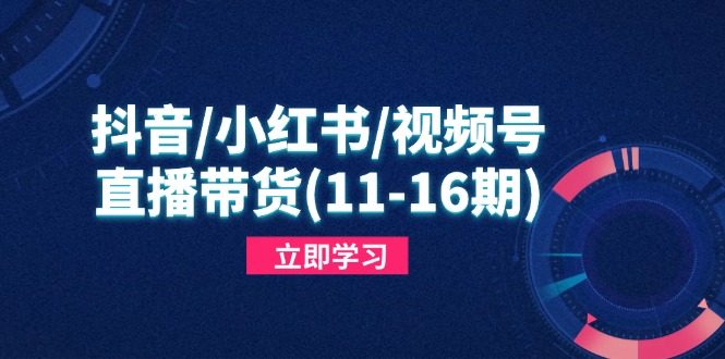 抖音/小红书/视频号/直播带货(11-16期)，快速掌握平台规则，打造爆款内容-轻创云课